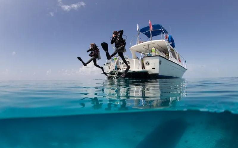 Desportos aquáticos Aventuras na água  Dreams Madeira Resort, Spa & Marina Funchal